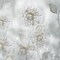 Blowing Wishes Ii Poster Print by Irene Weisz - Item # VARPDX19012